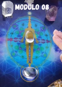 MODULO 08 (8)